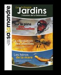 La Trilogie jardins, Coccinelle, abeille, dytique... les stars du jardin !. Publié le 26/06/12